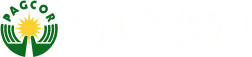 cấp phép pagcor yo88